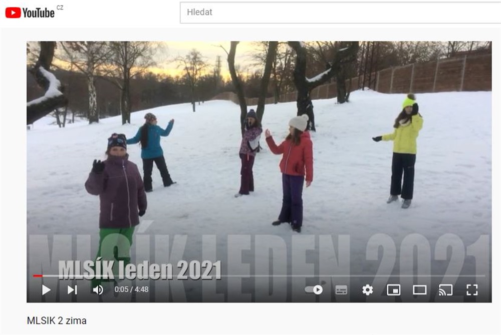 P SMlsik 1 21