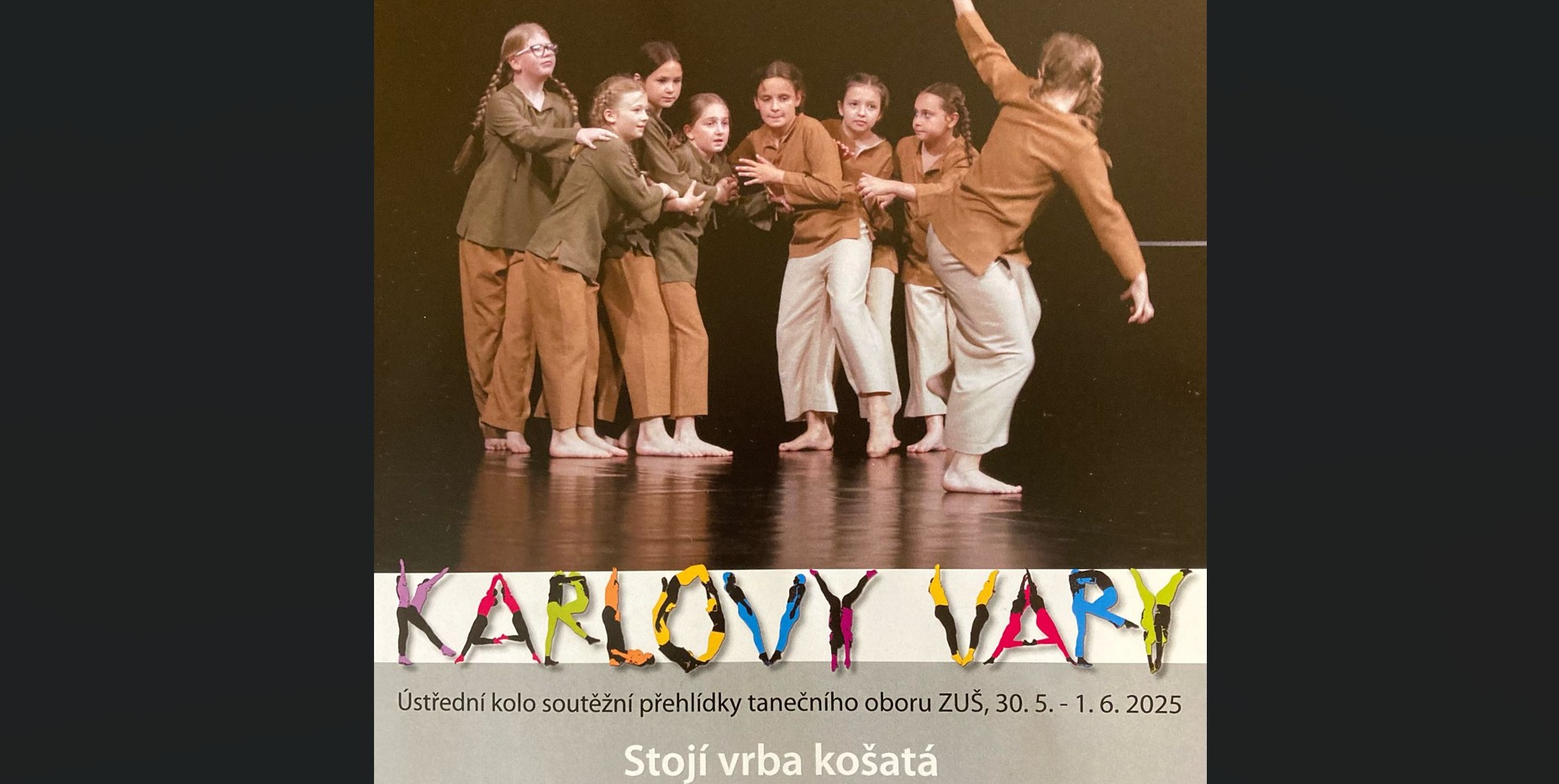 vystr.stoji vrba kosata