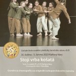Ústřední kolo soutěžní přehlídky TO  ZUŠ 2025