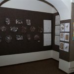 3img_0454