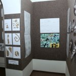 3img_0456