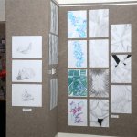 abolventi_22img_2669