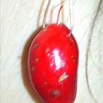 dv_20img-20201124-wa0008