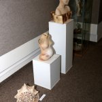 gdp_pedagogoveimg_8523