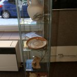 gdp_pedagogoveimg_8577