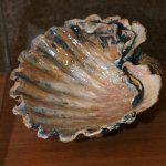 gdp_pedagogoveimg_8603