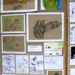 img_8077