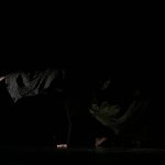 img_9311