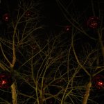 koncert_sboru_2019img_0588