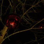 koncert_sboru_2019img_0589