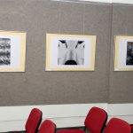 uprimg_0645