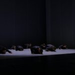 uprimg_3367