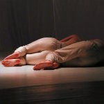 uprimg_3567